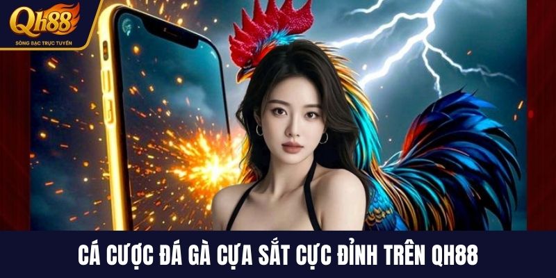 Cá cược đá gà cựa sắt cực đỉnh trên QH88