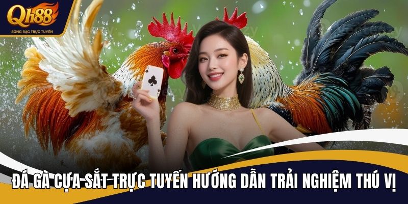 Đá gà cựa sắt