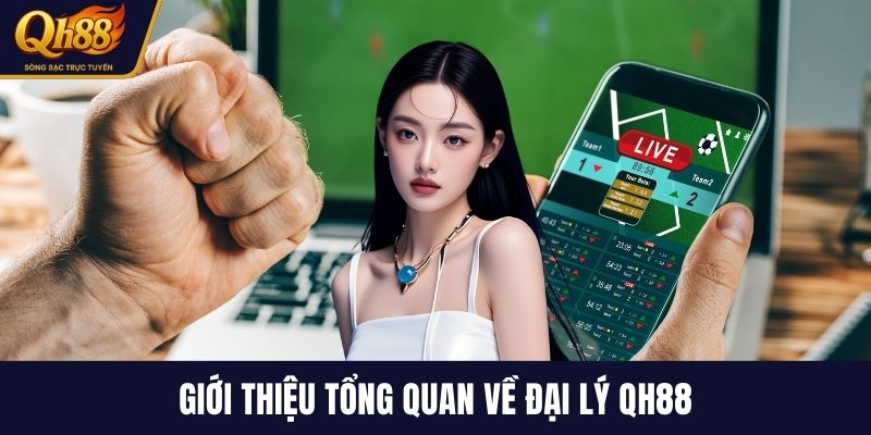 Giới thiệu tổng quan về đại lý QH88