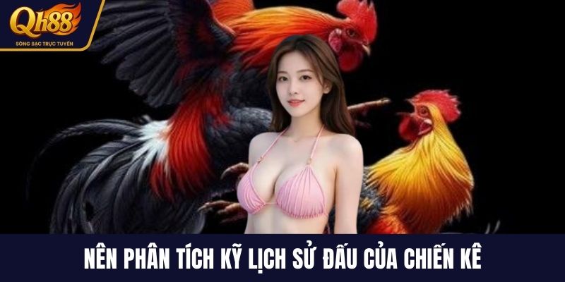 Nên phân tích kỹ lịch sử đấu của chiến kê