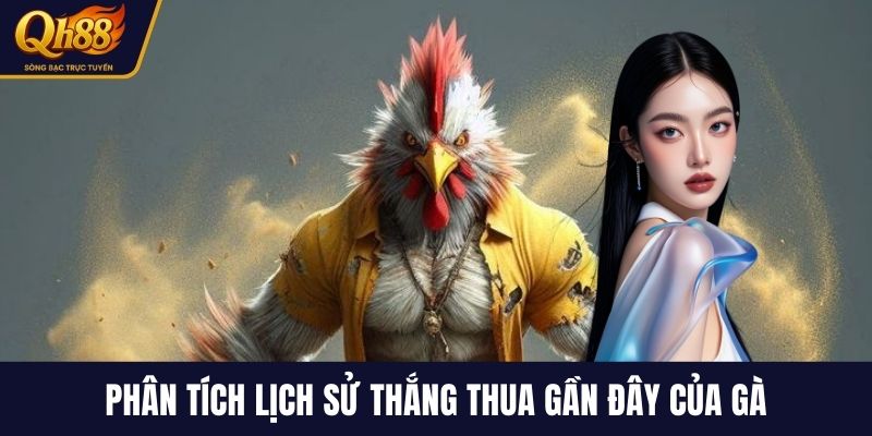 Phân tích lịch sử thắng thua gần đây của gà