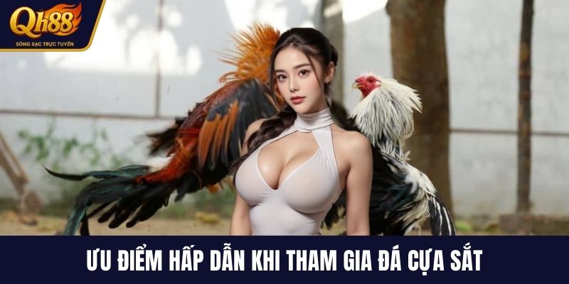 Ưu điểm hấp dẫn khi tham gia đá cựa sắt